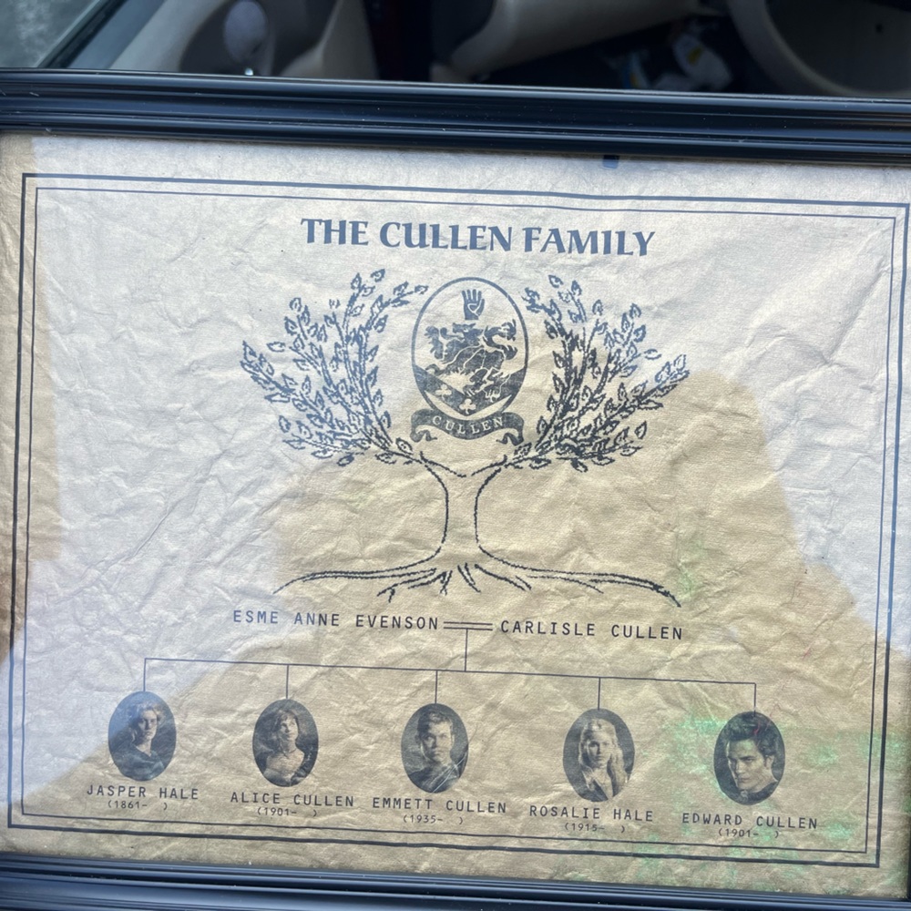 Twilight Cullen family tree *rare*